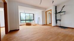 Haig Road (D15), Detached #504049511